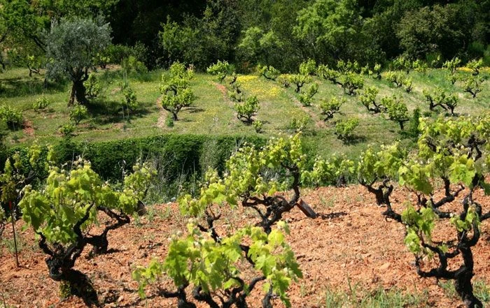 ÉQUIPE DE DÉMÉNAGEMENT DE LA SEDA CHARGEMENT DE MEUBLES DANS UNE RUE DE MONTORNÈS DEL VALLÈS AVEC UN CAMION MARQUÉ