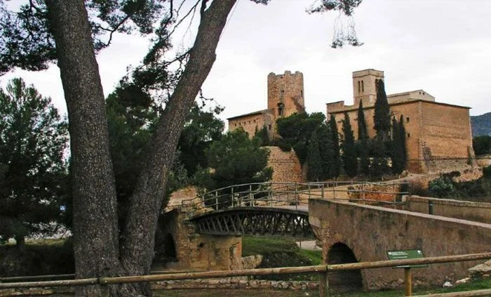 EQUIPO DE MUDANZAS LA SEDA CARGANDO MUEBLES EN UNA CALLE DE SANT PERE DE RIBES CON CAMIÓN MARCADO