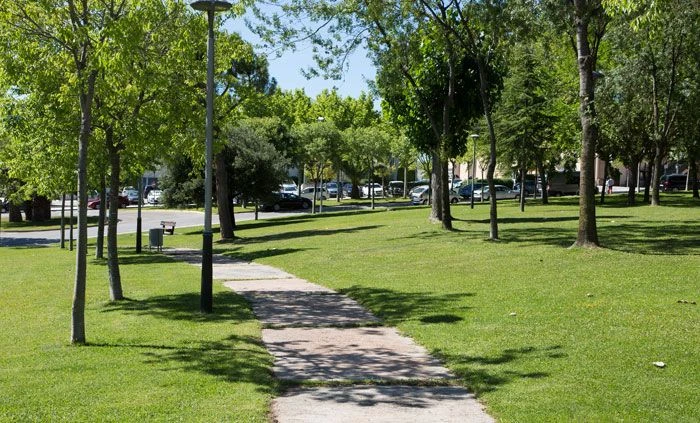 EQUIPO DE MUDANZAS LA SEDA CARGANDO MUEBLES EN UNA CALLE DE ABRERA CON CAMIÓN MARCADO